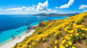 springtime in sardinia unforgettable experiences and insider tips for your holiday